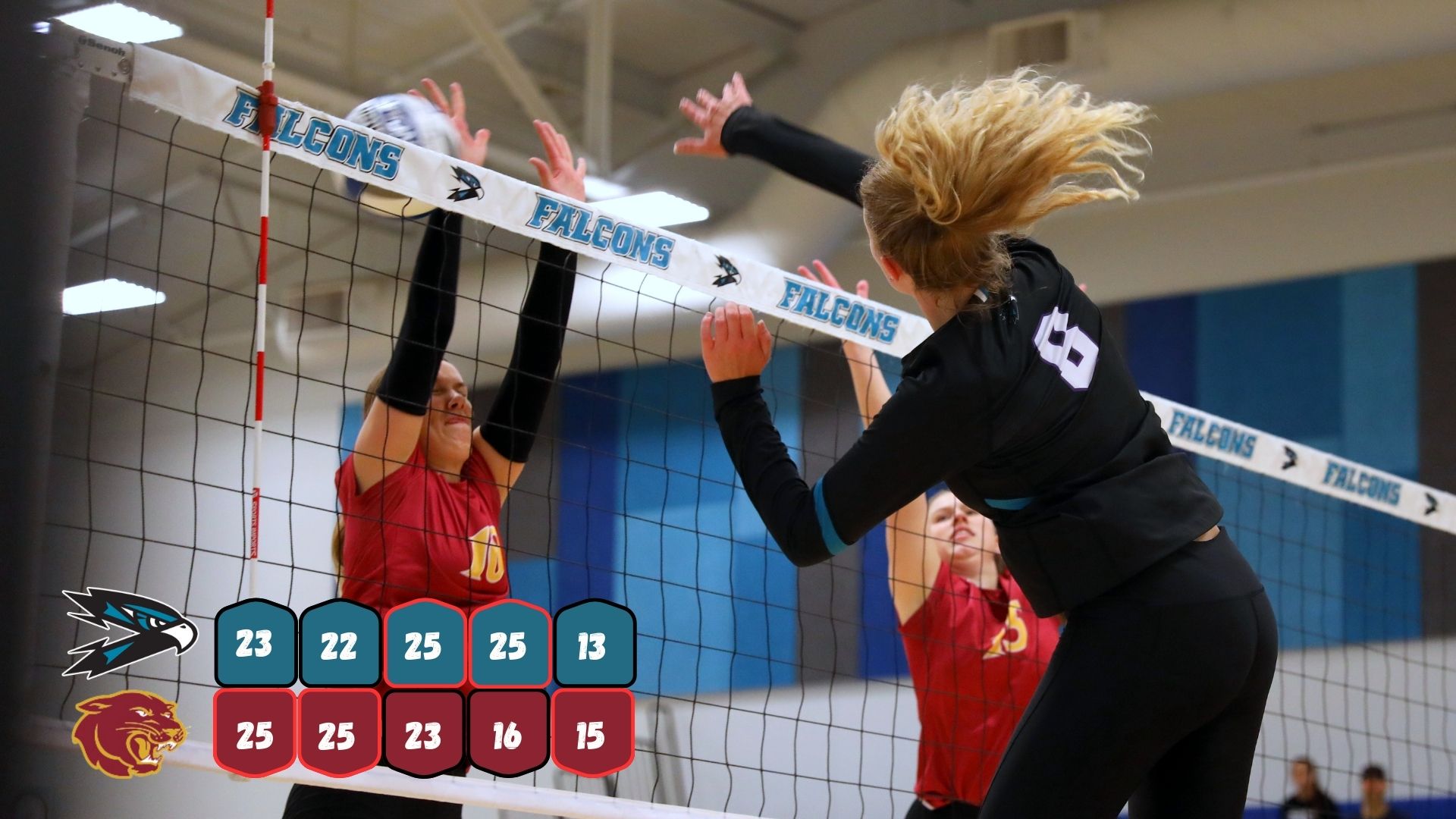 Volleyball’s Winning Streak Ends at 3  